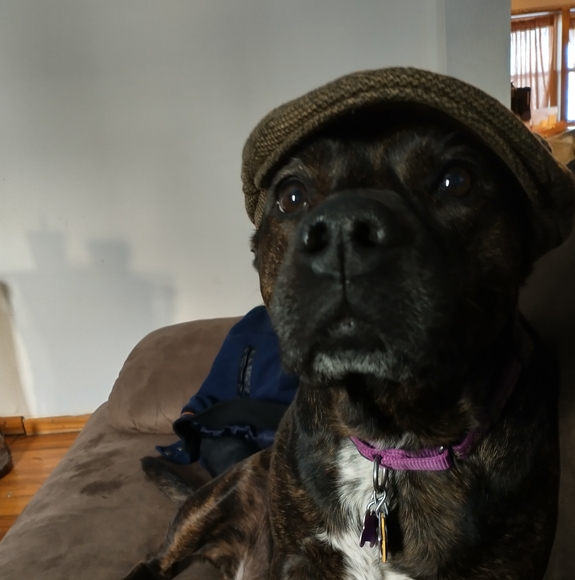 Profile Picture of Jesse Van baale (@jessup83) on Poshmark