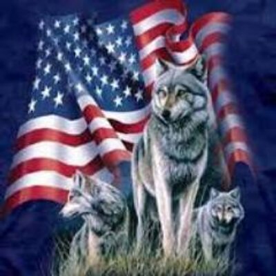 Profile Picture of Oscar Luciano (@OLF49) on Twitter