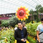 Profile Picture of Michael Chia (@michael_s_chia) on Instagram