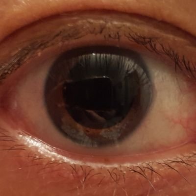 Profile Picture of Russ - Stay@Home! 🇨🇦 (@MaddeningEye) on Twitter