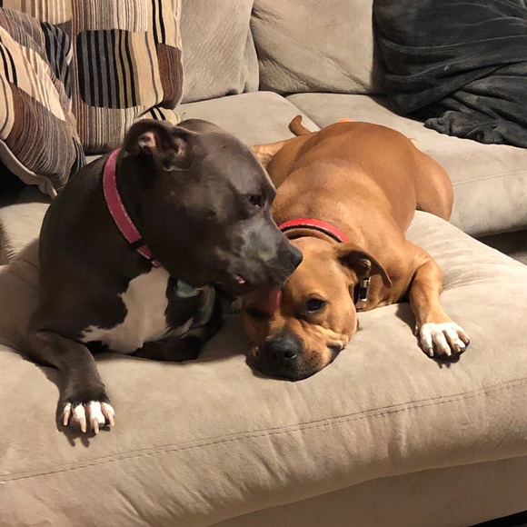 Profile Picture of Brian Bottini (@brian25bottini) on Poshmark