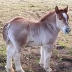 Profile Picture of Evelin Cerna (@Evelin-Cerna) on Facebook