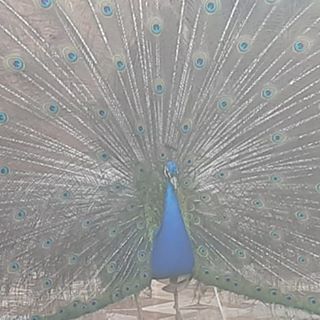 Profile Picture of Hamid Saadaoui (@hamid.saadaoui.313) on Facebook