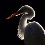 Profile Picture of James Neish (@jamesneish.photos) on Instagram