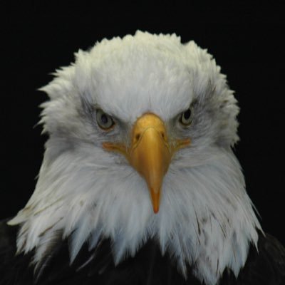 Profile Picture of Lori Neilly (@NeillyLori) on Twitter