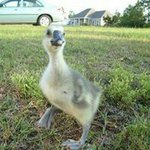 Profile Picture of Denise Verrett Keyser (@denise.keyser) on Instagram