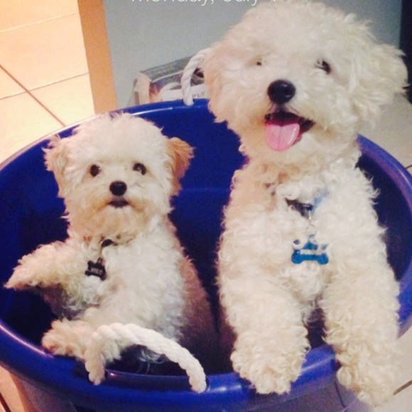 Profile Picture of Katelyn Nguyen (@nguyenkt915) on Poshmark