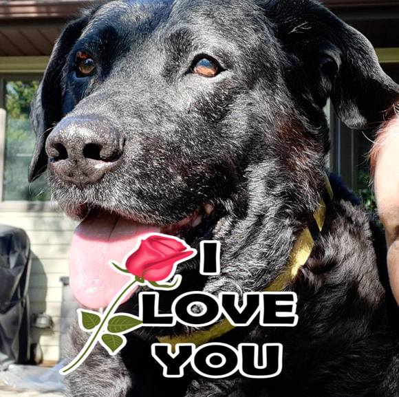 Profile Picture of Kari Haycraft (@careb81614) on Poshmark