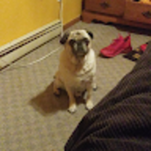 Caleb Dakin - Poshmark Profile Picture of Caleb Dakin (@c_dakin) on Poshmark