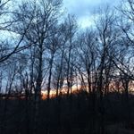 Profile Picture of Aaron Reisetter (@howie.photography) on Instagram