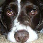 Profile Picture of Thomas Hoekstra (@hoekstrat) on Instagram