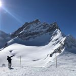 Profile Picture of Weiwei Wu (@wwu32) on Instagram