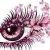 Profile Picture of Paula Bubar (@jinglescat69) on Pinterest