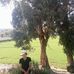 Profile Picture of Joset Jaramillo (@joset.jaramillo.503) on Facebook