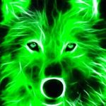 Profile Picture of jeffery wolfe (@wolfejeffery) on Instagram