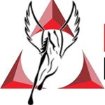 Profile Picture of Rick Reyna (@pegasusrgv) on Instagram