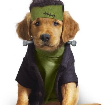 Profile Picture of John Slider (@jhslider22) on Twitter