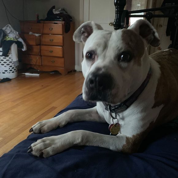 Profile Picture of Cyndi Valleau (@cyndivalleau) on Poshmark