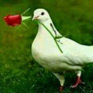 Octavio Cortez - Twitter Profile Picture of Octavio Cortez (@OctavioCortez) on Twitter