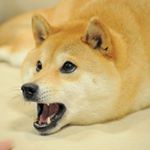 Profile Picture of Łukasz Manuszewski (@lukaszmanuszewski) on Instagram