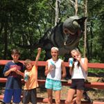 Profile Picture of Joseph Francesco Davi (@metsrangersjets1234) on Instagram