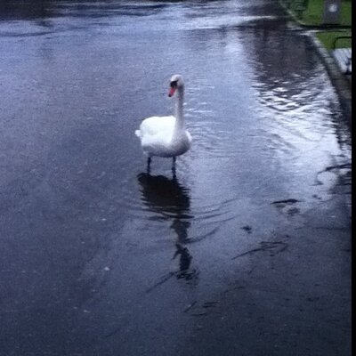 Matthew Calderwood - Twitter Profile Picture of Matthew Calderwood (@mattypower7_l) on Twitter