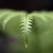 Profile Picture of Venkatesh Babu (@venkateshbabutk) on Pinterest
