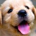 Profile Picture of Jonathan Painter (@jonathanp5720) on Pinterest