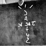 Profile Picture of Joseph Bolaños (@its_cactus.jack) on Instagram