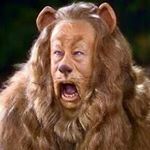 Profile Picture of Anthony Ancona (@sproutay1973) on Instagram