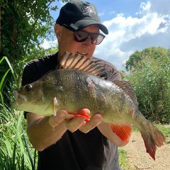 Profile Picture of johnhvockins (@johnhvockins) on Tiktok