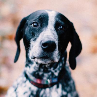 Profile Picture of Bill Sudduth (@wjsudduth) on Twitter