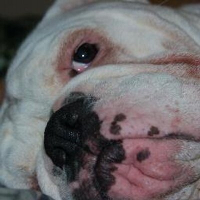 Profile Picture of Matthew Sorber (@MatthewSorber) on Twitter