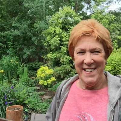 Profile Picture of Anne Siebel (@eldergirl71) on Twitter