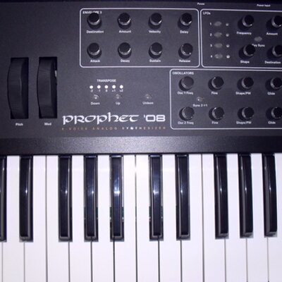 Profile Picture of Crystal McCarthy (@Pandamals) on Twitter