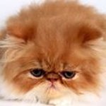 Profile Picture of Jianwen Zhang (@dragon.inst) on Instagram