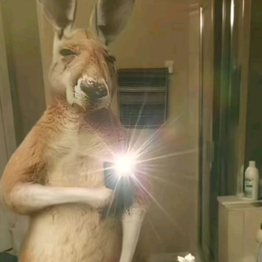 Profile Picture of davidtfit (@onemore274) on Tiktok