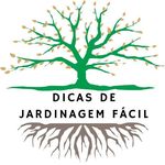 Profile Picture of Dicas de Jardinagem F&aacute;cil (@dicasdejardinagemfacil) on Instagram