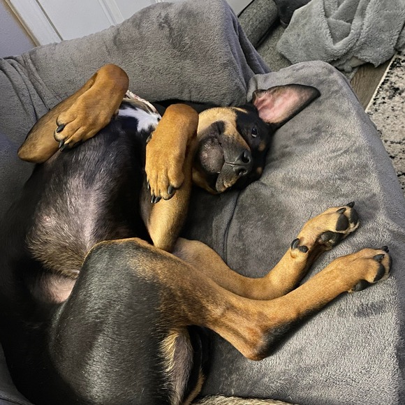 Profile Picture of Megan Trzcinski (@megan_trz) on Poshmark