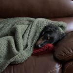 Profile Picture of Thomas Crook (@thomaswcrook_) on Instagram