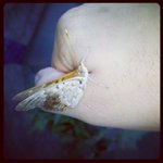 Profile Picture of Don Calvert (@phimoredi) on Instagram