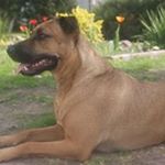 Profile Picture of Robert Klimek (@robert.klimek.357) on Instagram