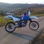 Profile Picture of Lucas (@l.kralle) on Instagram