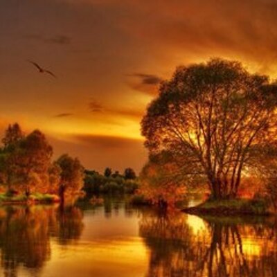 Trudy Sutherland - Twitter Profile Picture of Trudy Sutherland (@TrudysTrudy) on Twitter