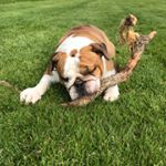 Profile Picture of Jane Campbell (@bigwrigg_) on Instagram