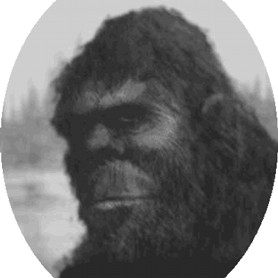 Profile Picture of Mike Mallard (@squatch6) on Twitter