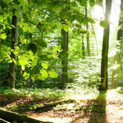 Profile Picture of ... (@AbdelmutiAla) on Twitter