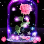Profile Picture of Sonia Olvera (@soniaolvera5940) on Youtube