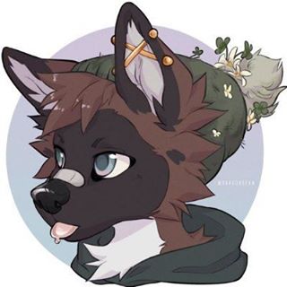 Profile Picture of Kade Wolfe (@kade.wolfe.161) on Facebook