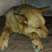 Profile Picture of Larry Adkins (@cutmastercnc) on Youtube